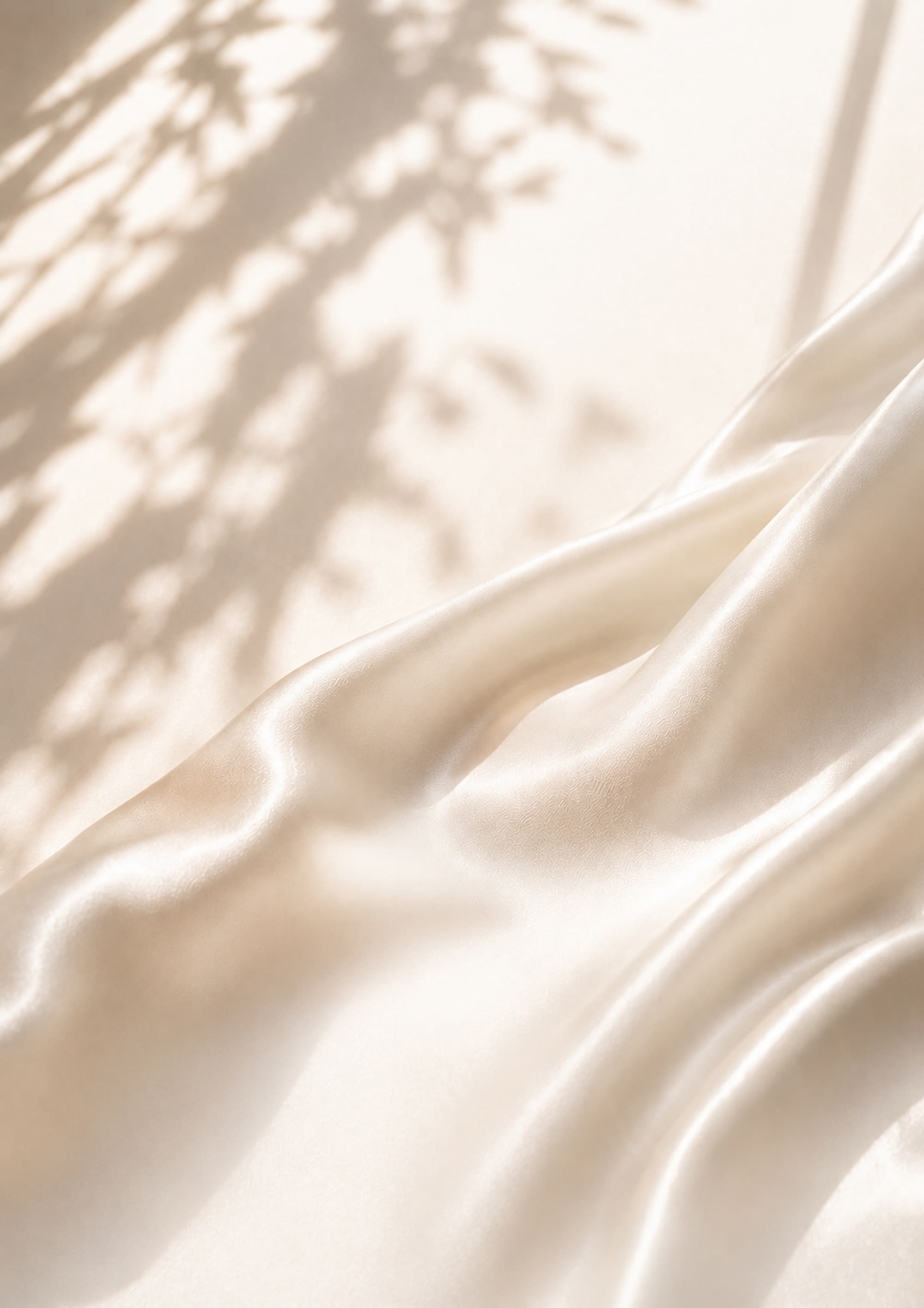 ravue_silk_background_72dpi.jpg